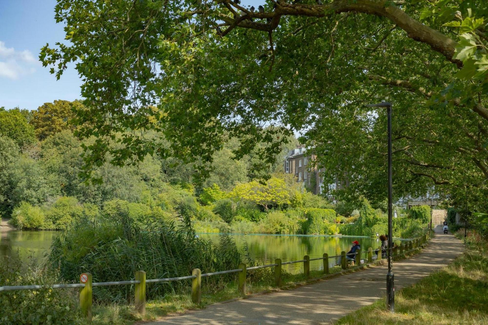3 Bedroom Magical Hampstead Heath *