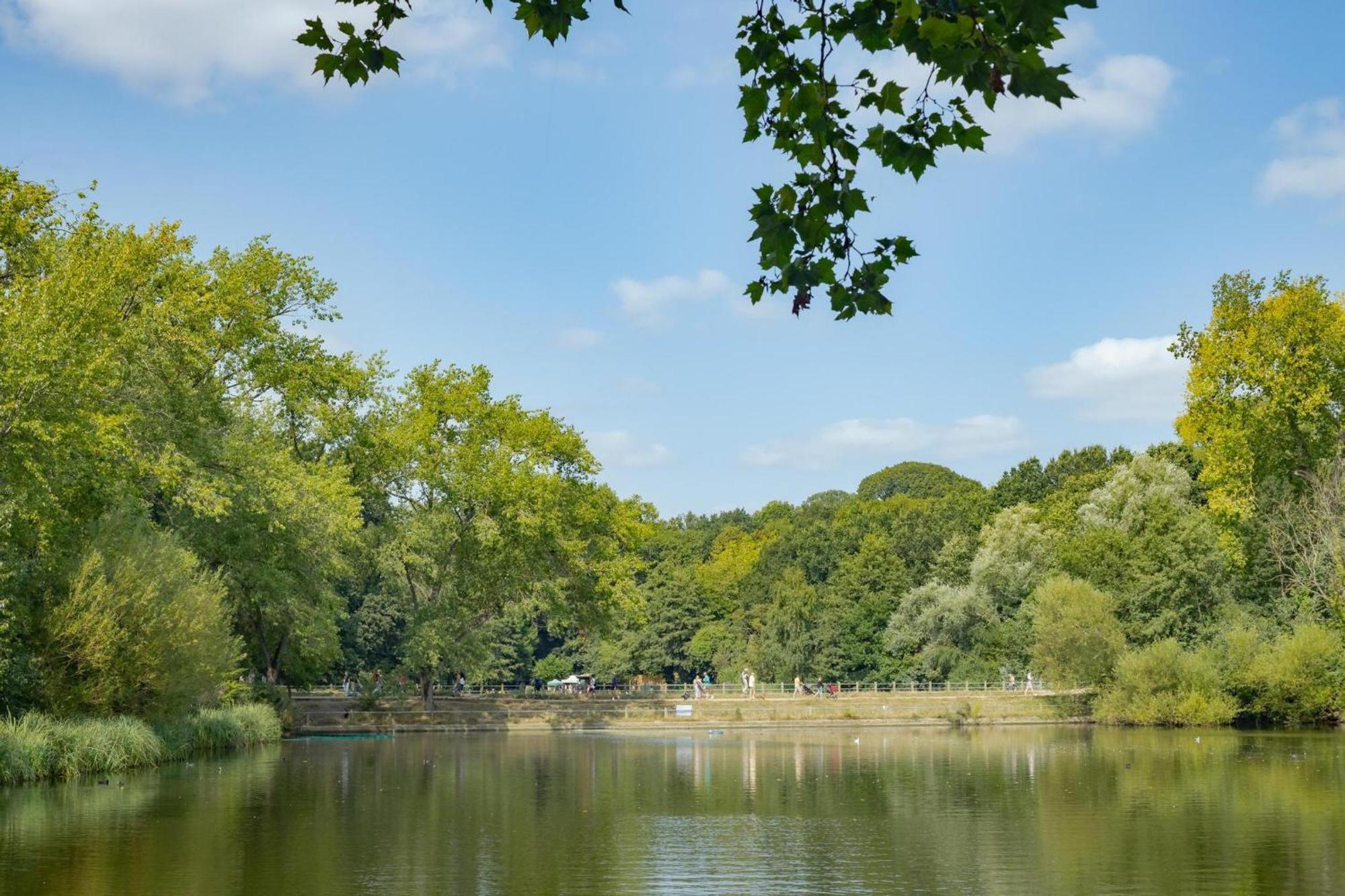 3 Bedroom Magical Hampstead Heath Apartment