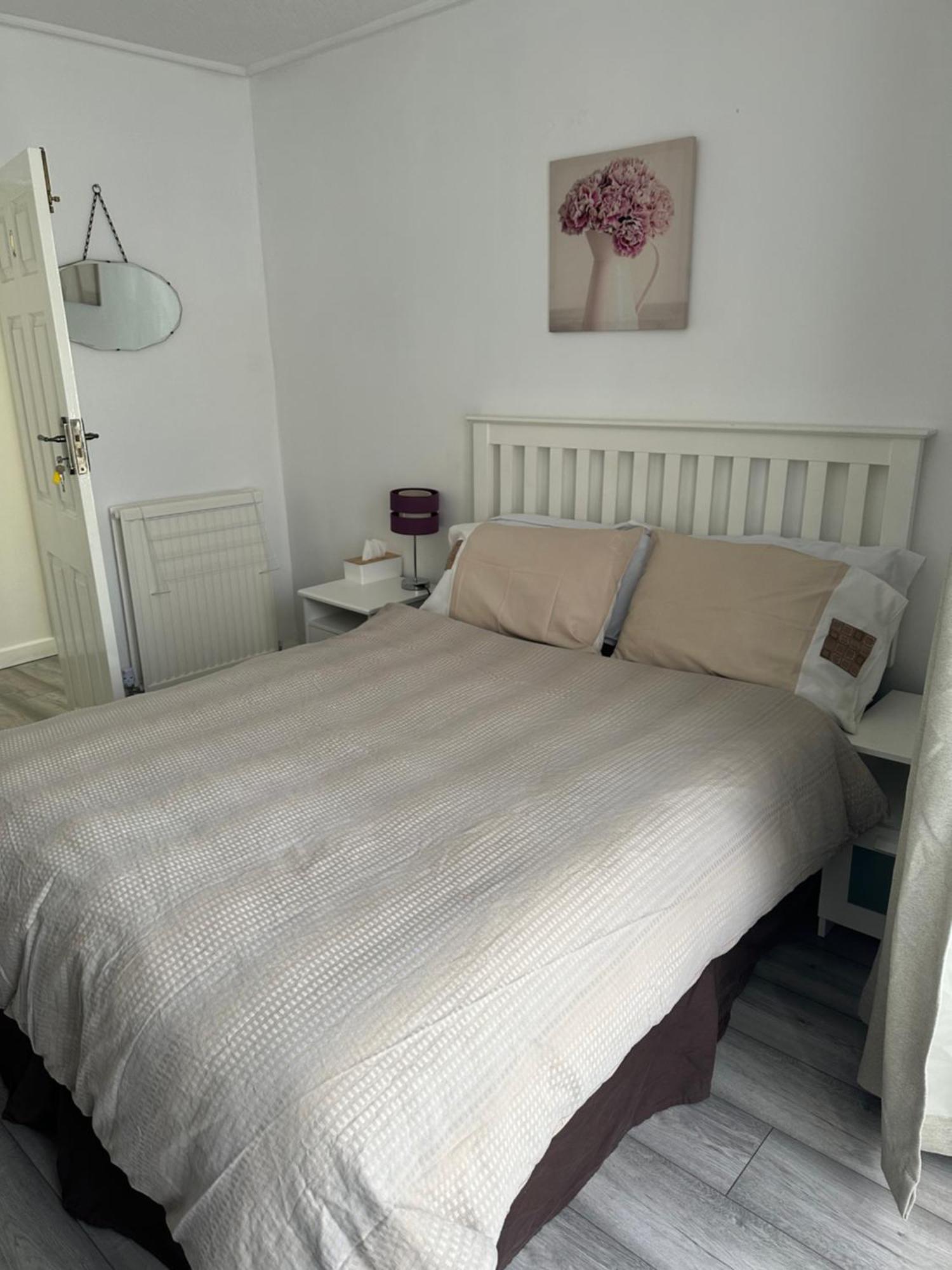 Large Double Ovo Wembley Stadium Homestay London