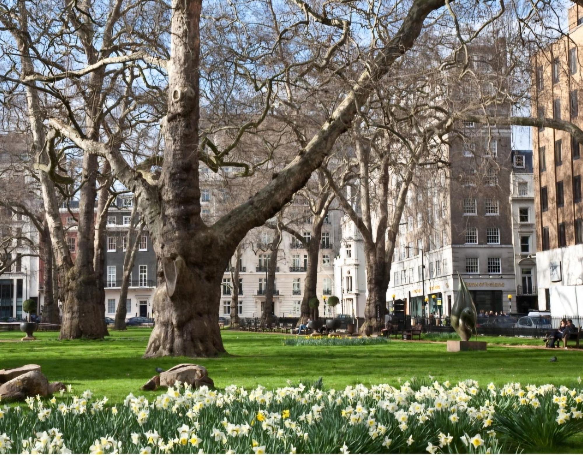 Modern Flat In Mayfair London