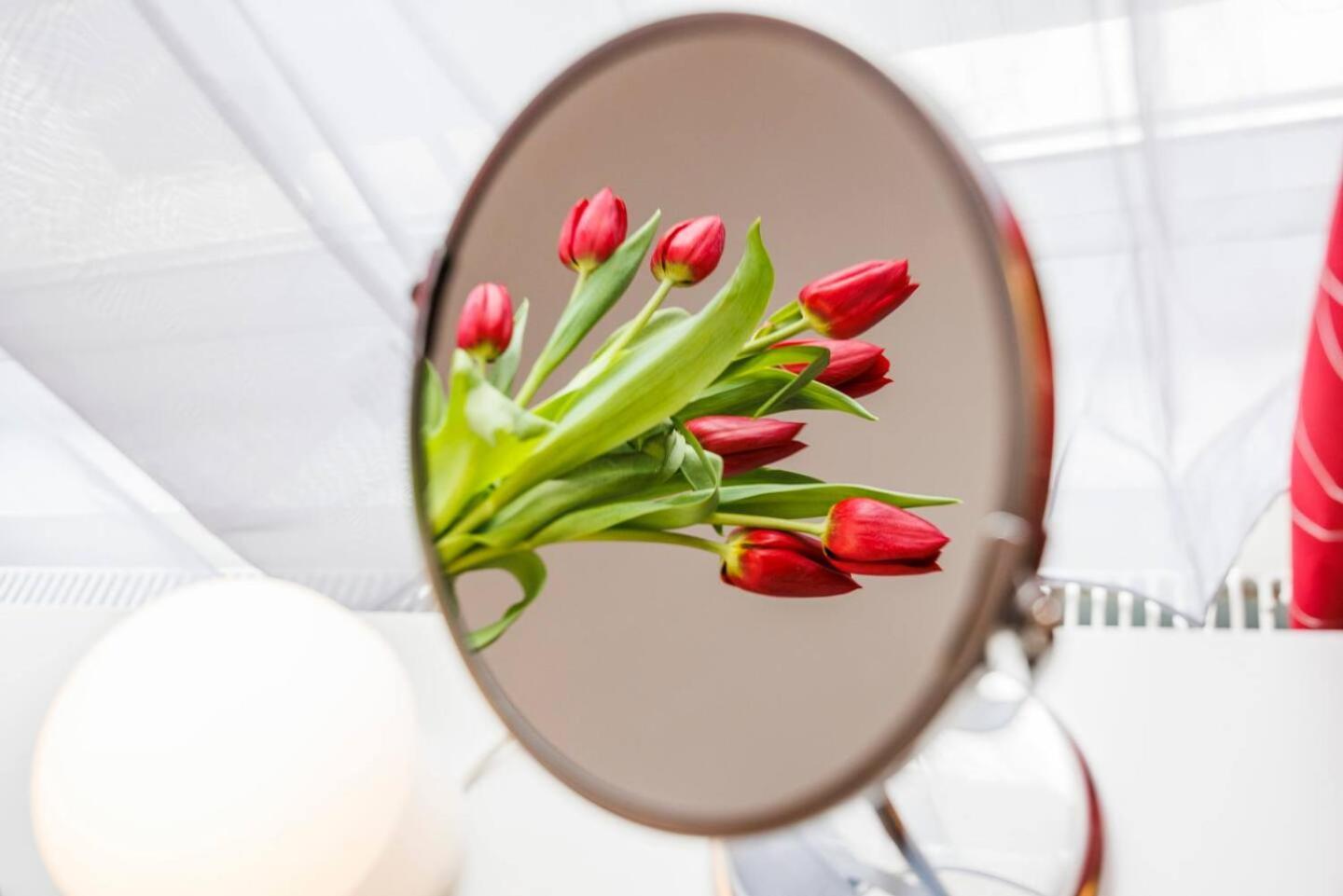 Apartment 12 Bed Charming And Bright Flat *
