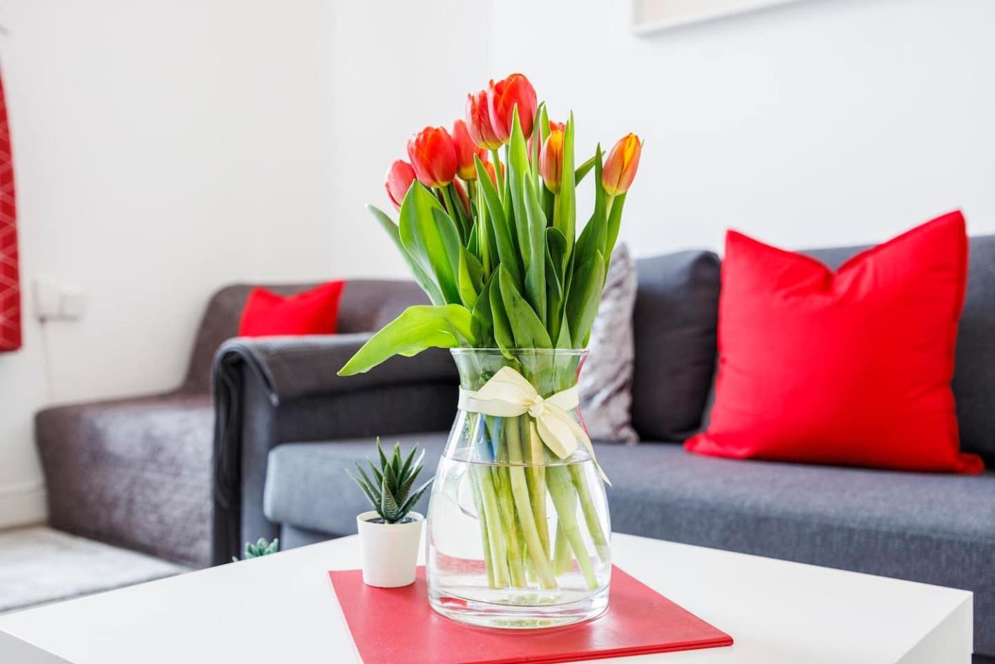 Apartment 12 Bed Charming And Bright Flat