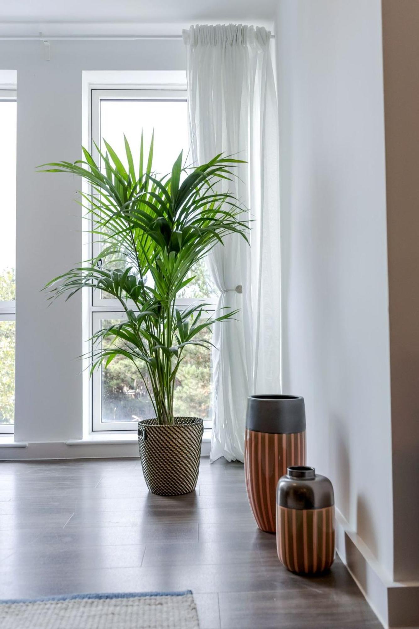Cozy Olympic Park And Stratford Apartment *