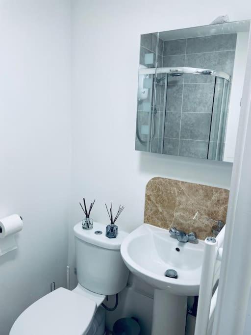 Ivy Two Bedroom & Garden In Temple Fortune Apartment *