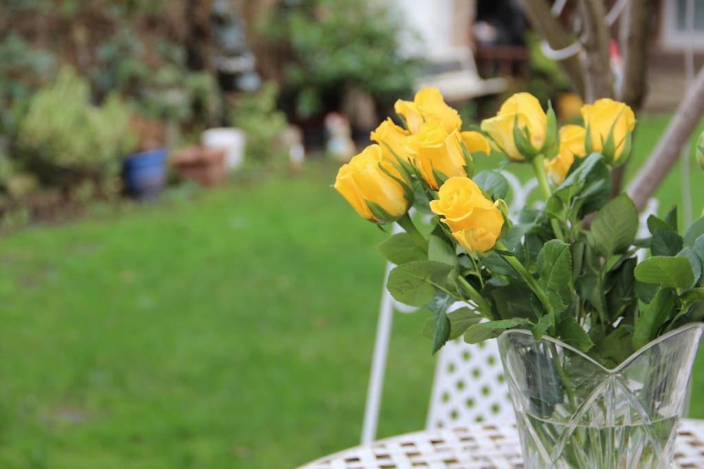 Bright Garden Studio! Apartamento Londres