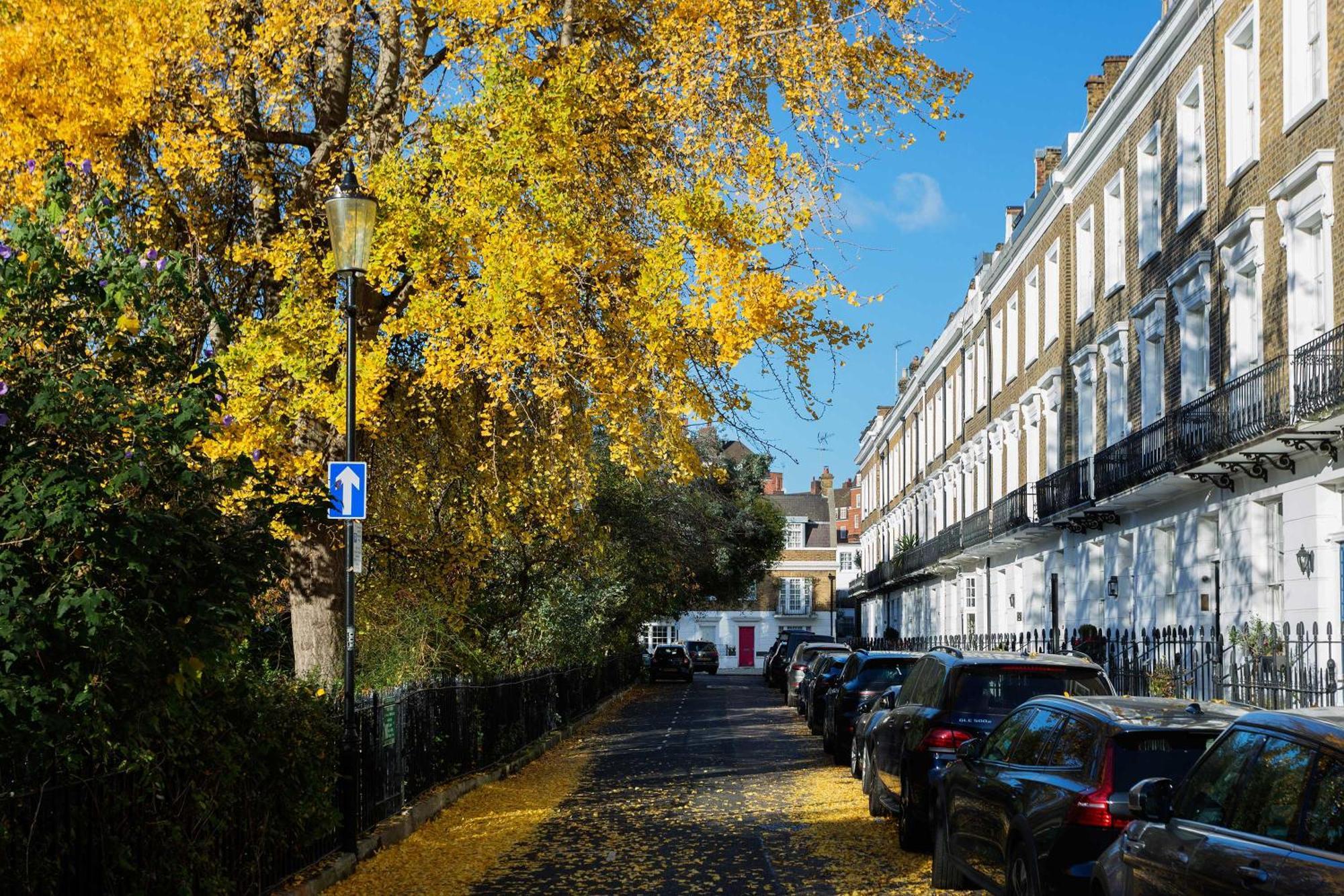 Apartment Veeve - Chelsea Square Serenity London