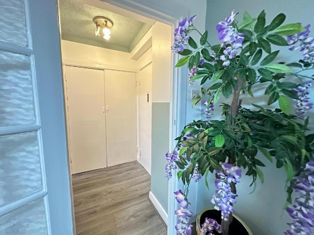 Apartment Beautiful Near Park Lane *