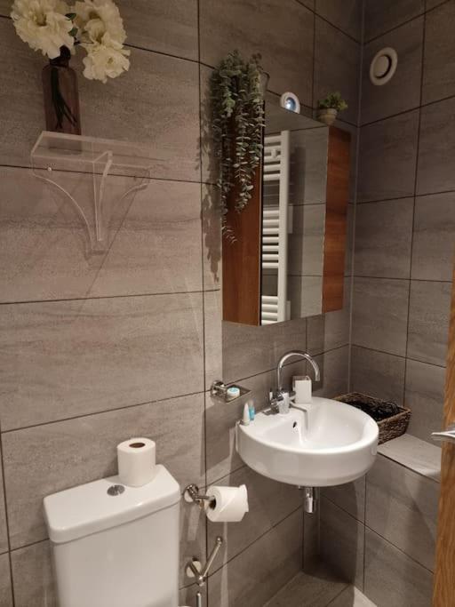 Large Duplex Flat At Bridge