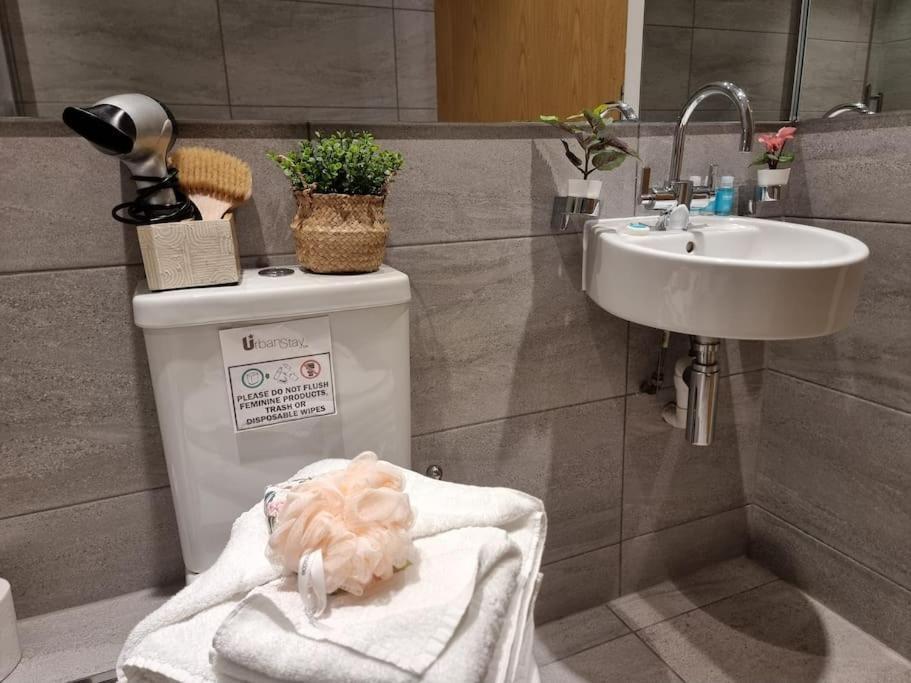 Large Duplex Flat At Bridge Apartment London