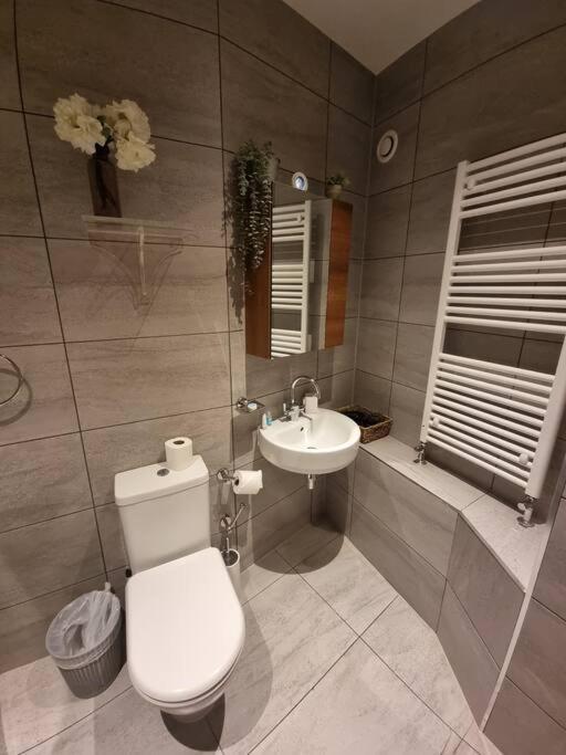 Large Duplex Flat At Bridge Apartment London