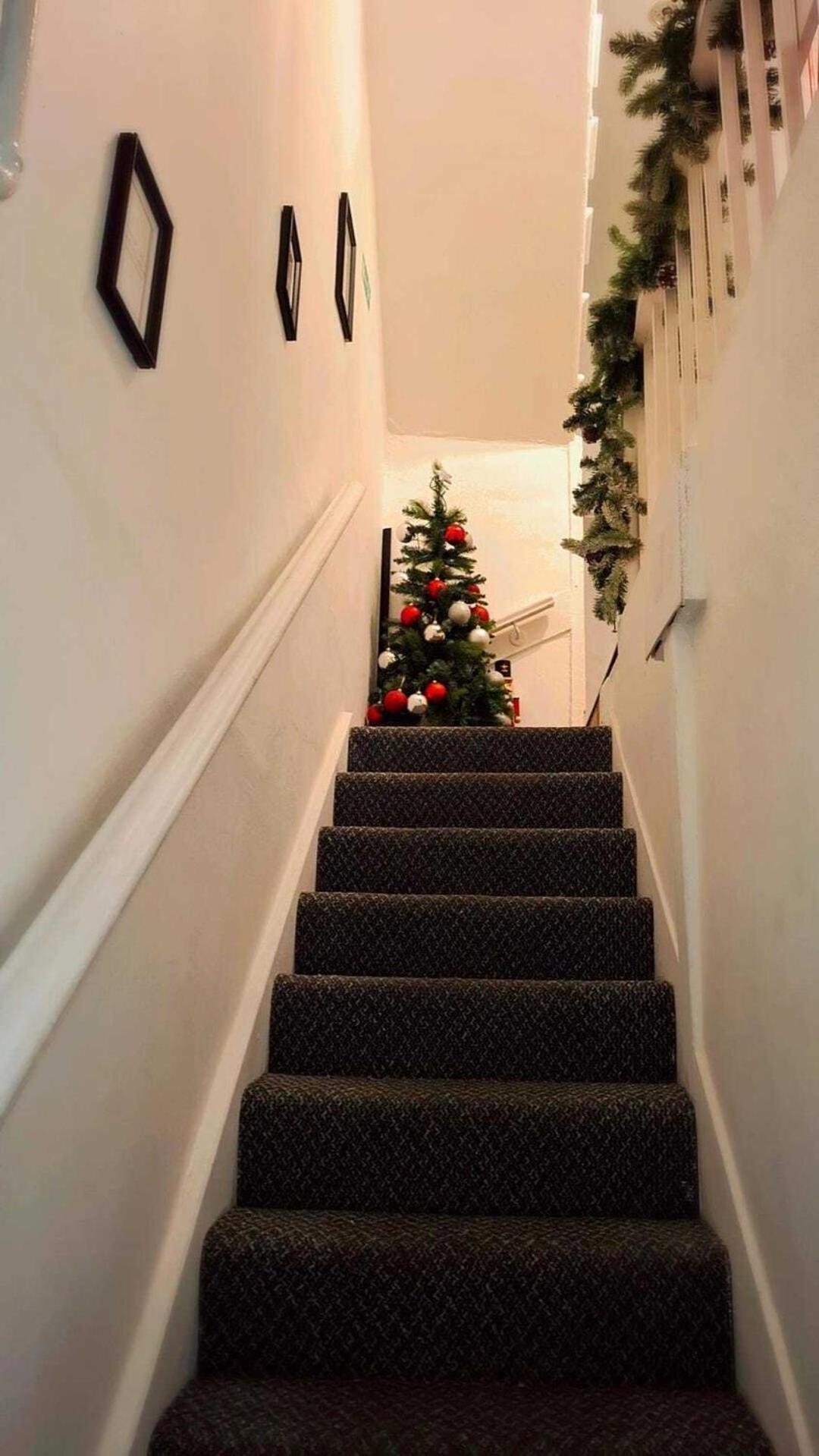 Camden Town Bed & Breakfast London
