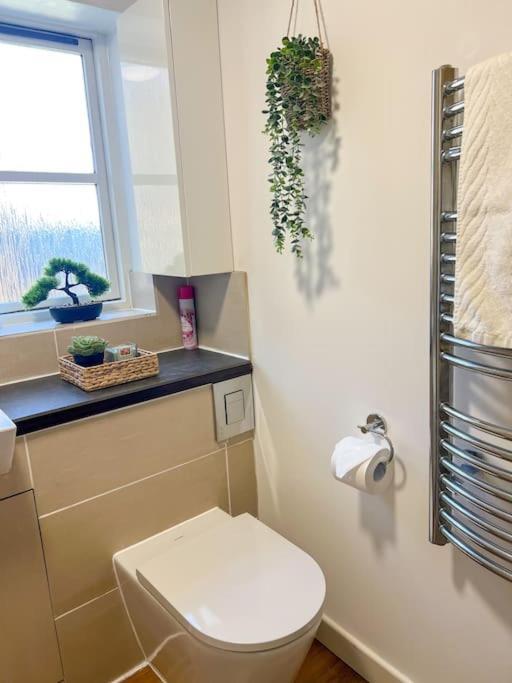 Cosy & Modern Flat In Islington- 15 Minute Walk From Emirates Stadium Apartment London