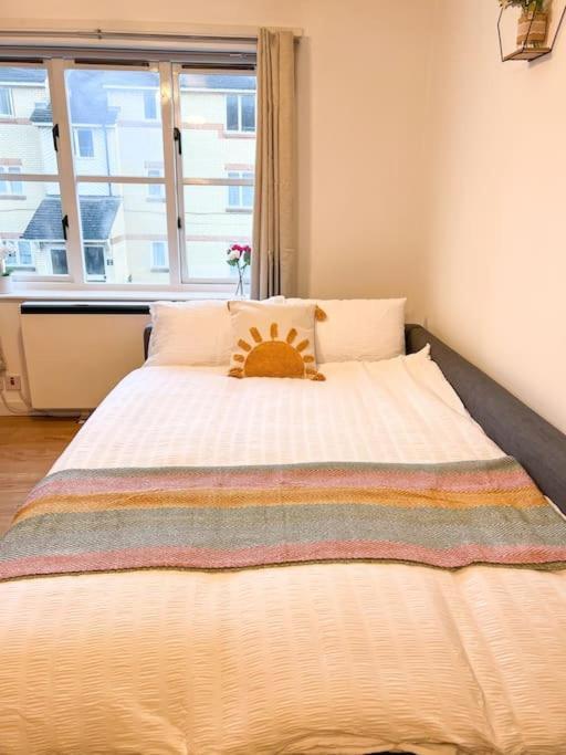 Cosy & Modern Flat In Islington- 15 Minute Walk From Emirates Stadium London
