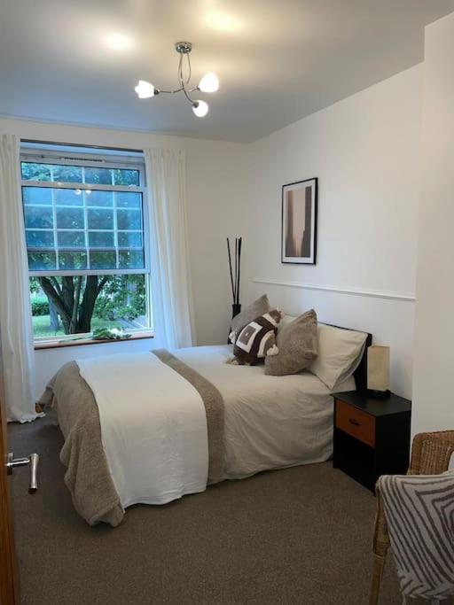 Classy Se8 Your Hidden Gem In Zone 2 * London