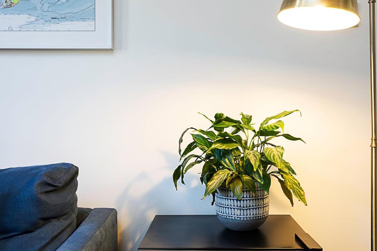 Gorgeous Angel Flat Apartment *