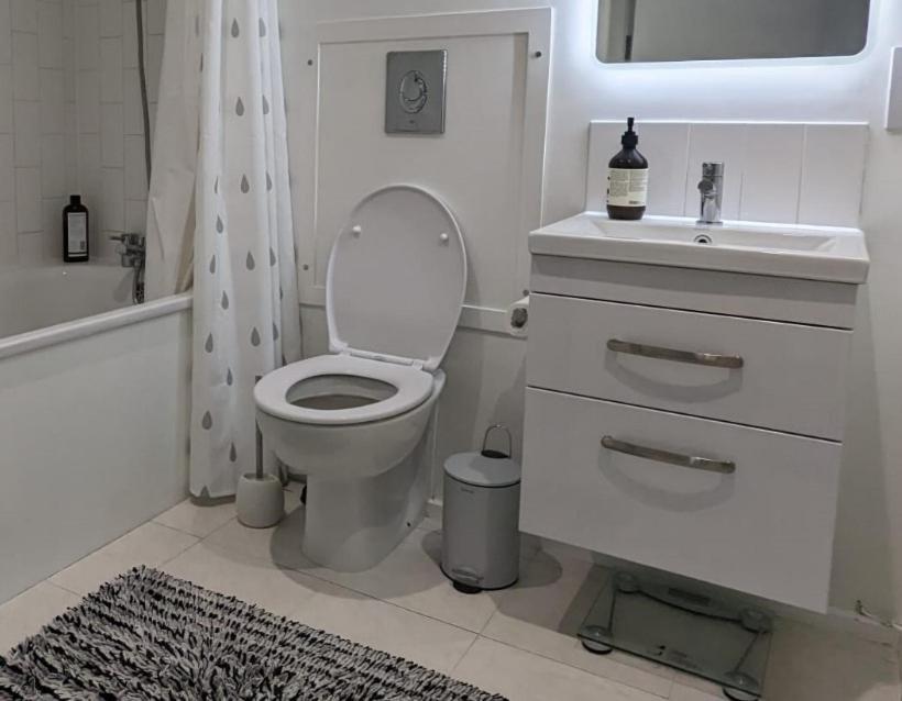 Bright And Spacious Victorian Conversion * London