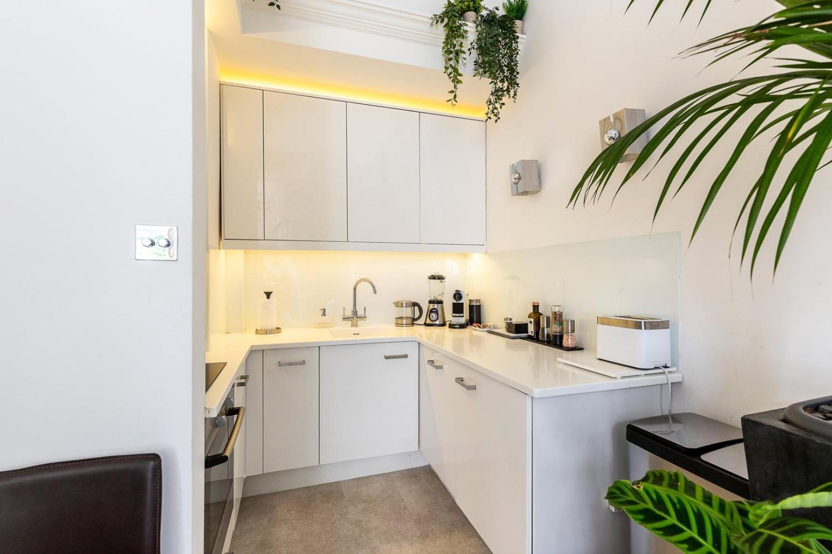 Classic Victorian Flat With Terrace Apartment