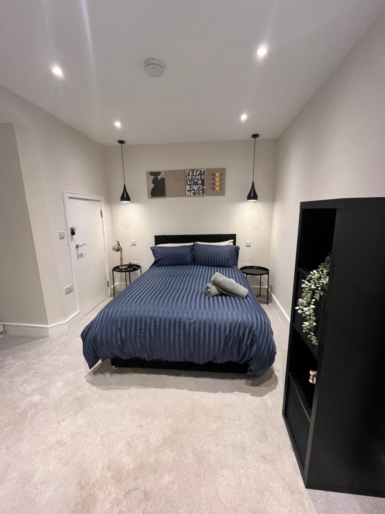 New Wembley - 10 Minutes From Wembley Stadium, Ovo Wembley Stadium Apartment *