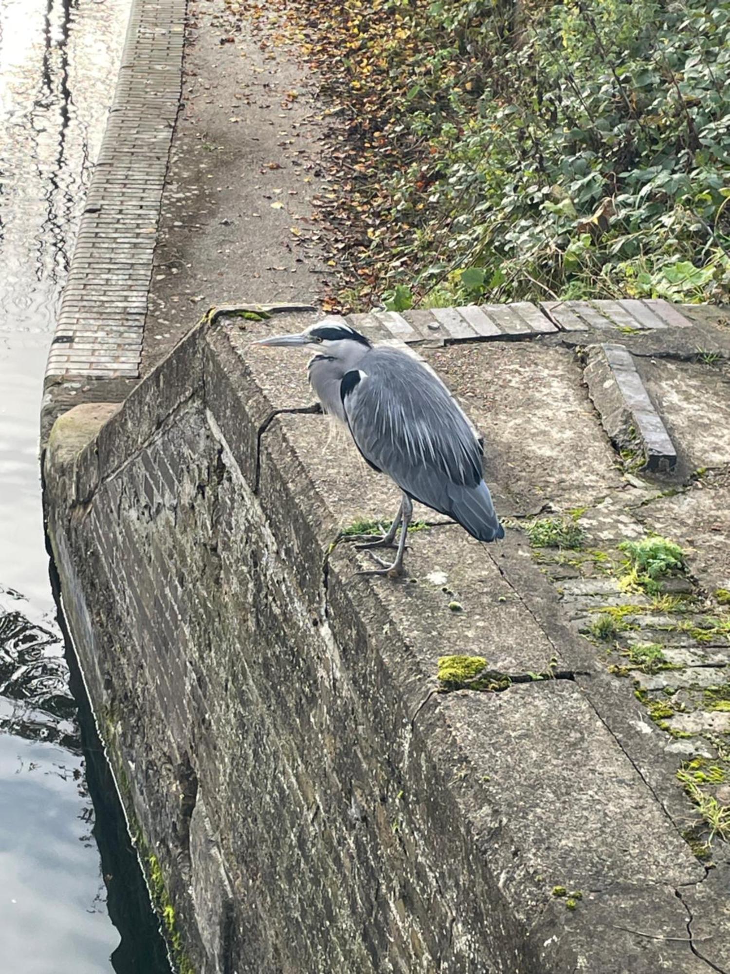 Comfy Canal In Little Venice For Family & Friends * Londres