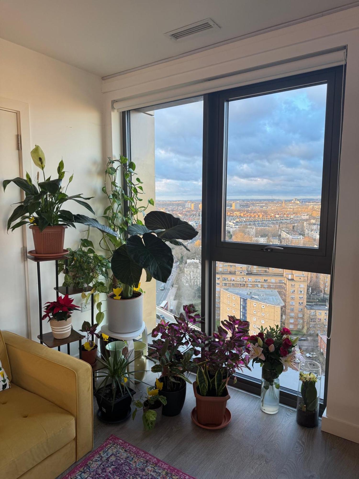 Paddington Apartamento *