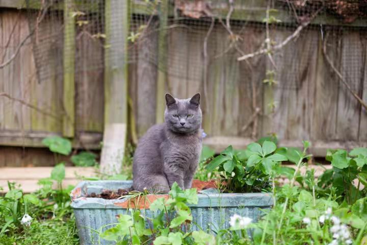 Self Contained Garden London