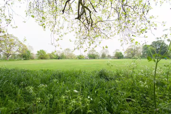 Self Contained Garden * London