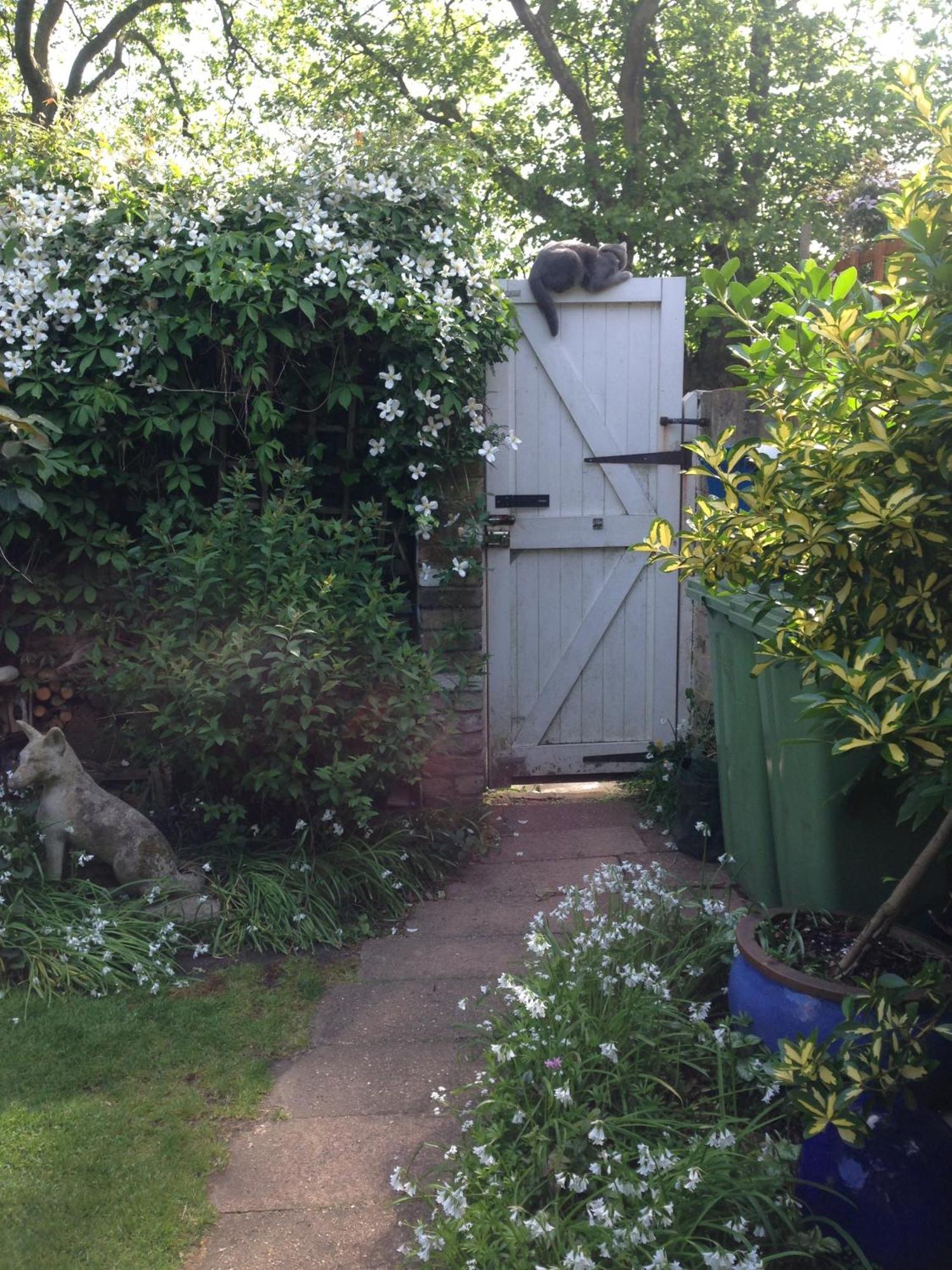 Bed & Breakfast Self Contained Garden *