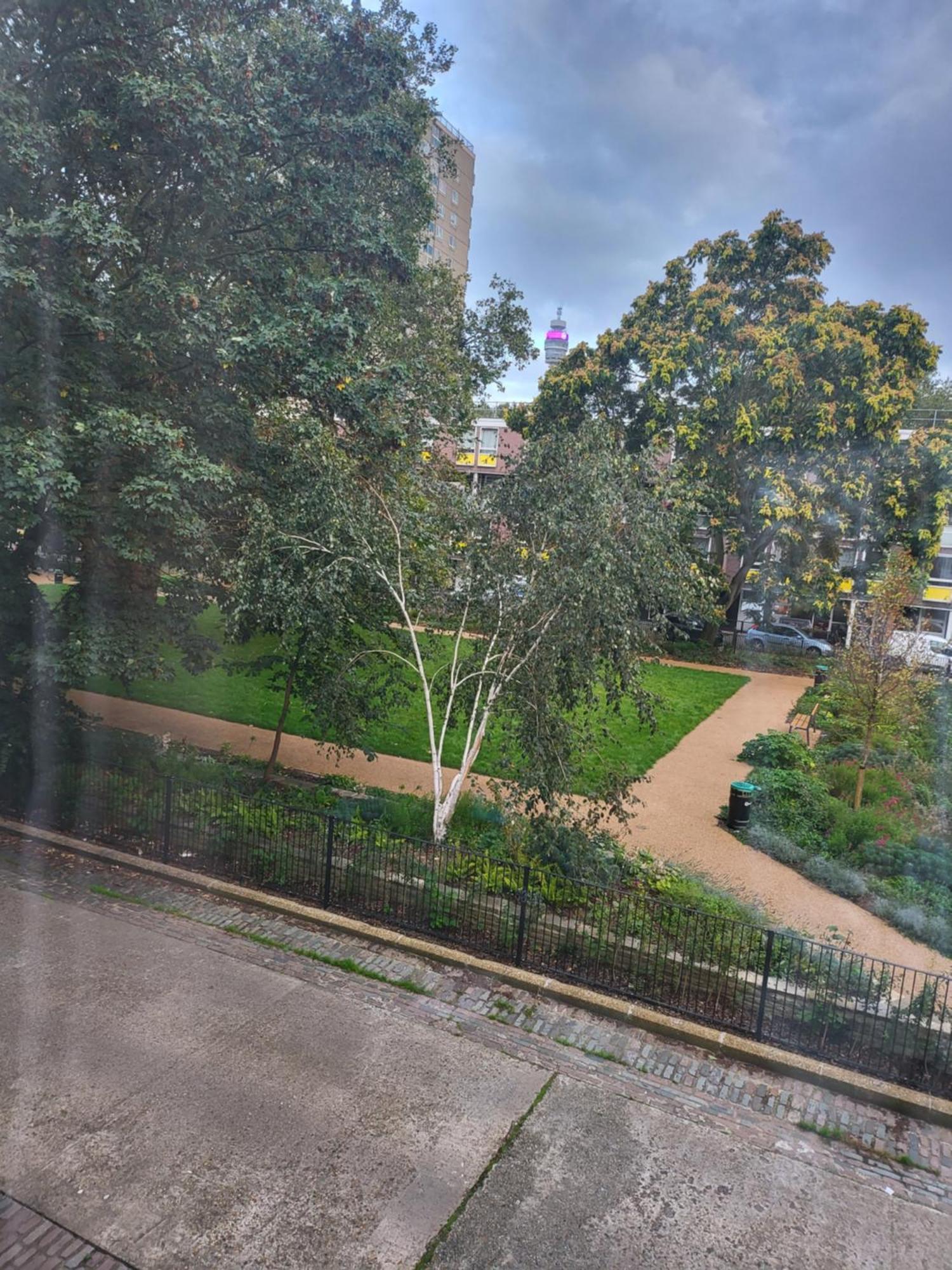 Central London Home Homestay London
