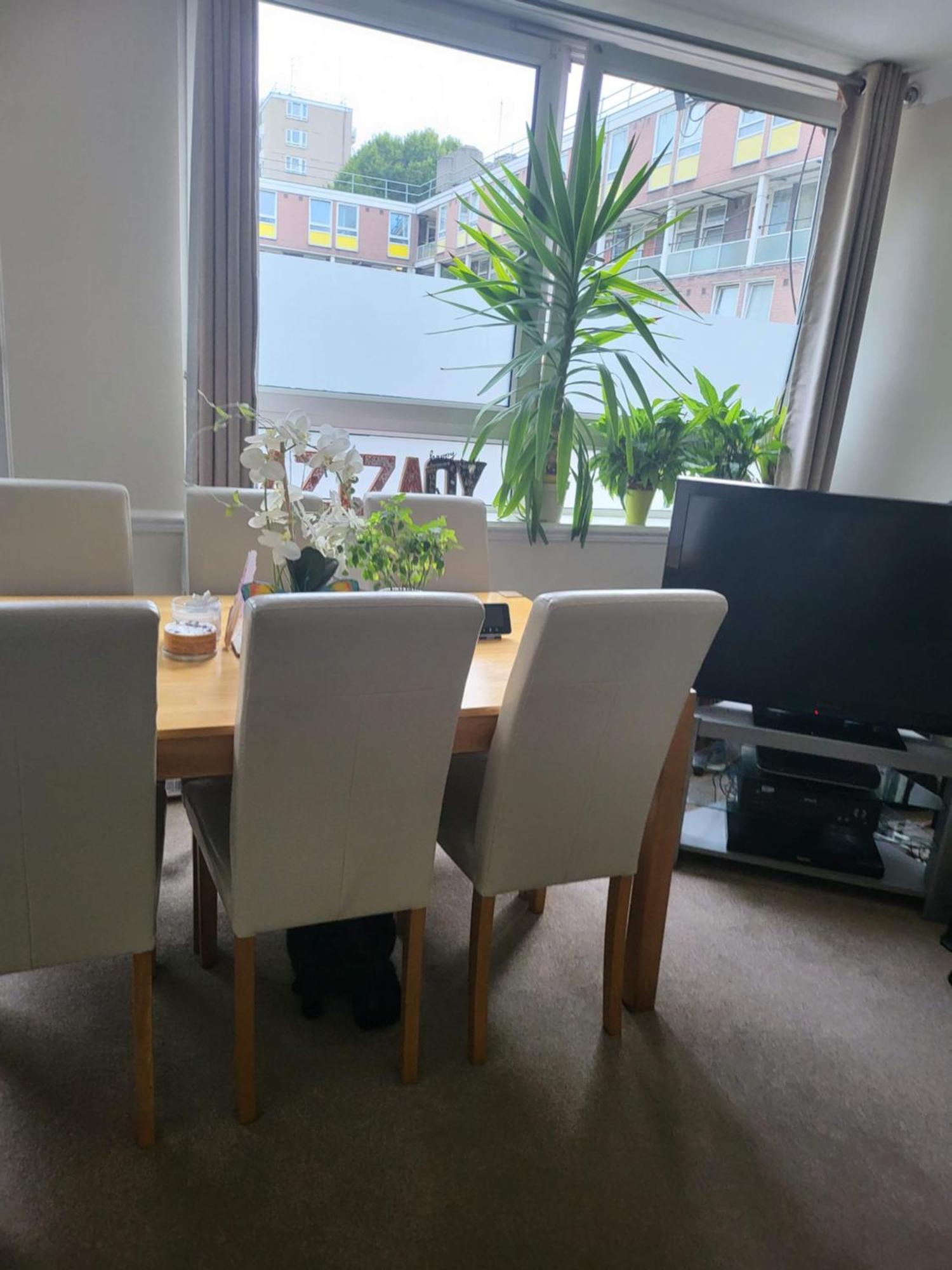Central London Home Homestay