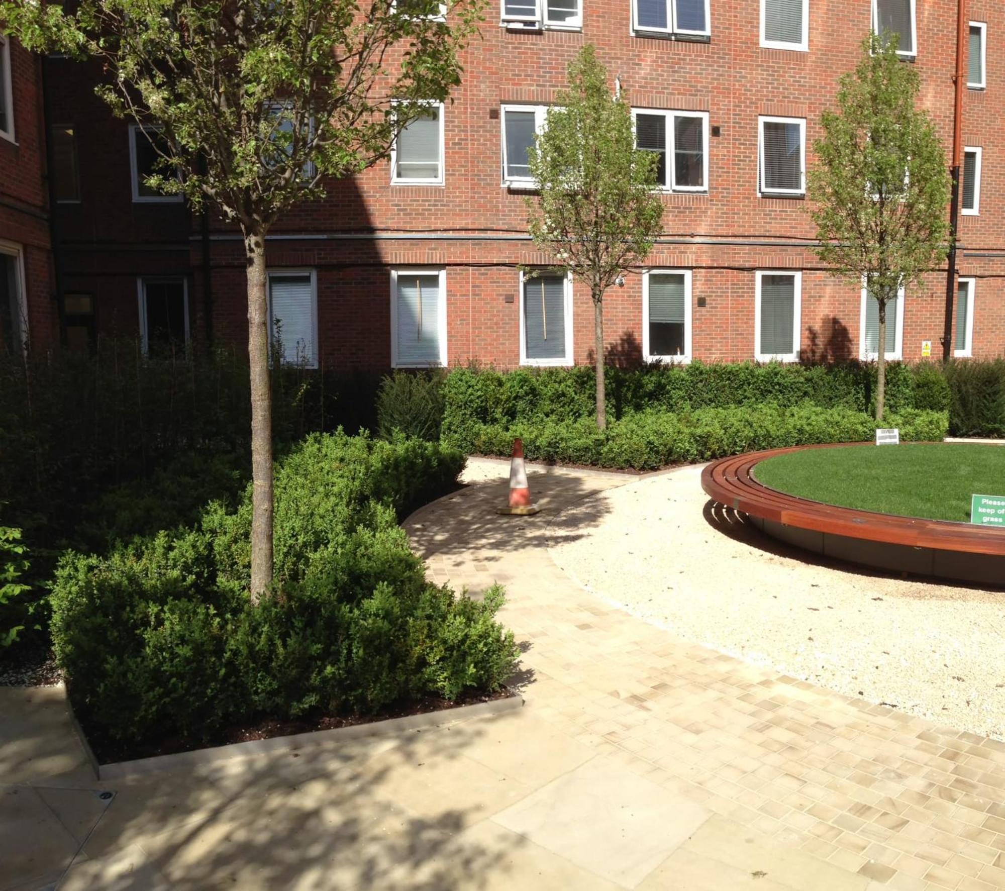 For Students Only Your Study Hub In With Stunning Amenities At Olib *