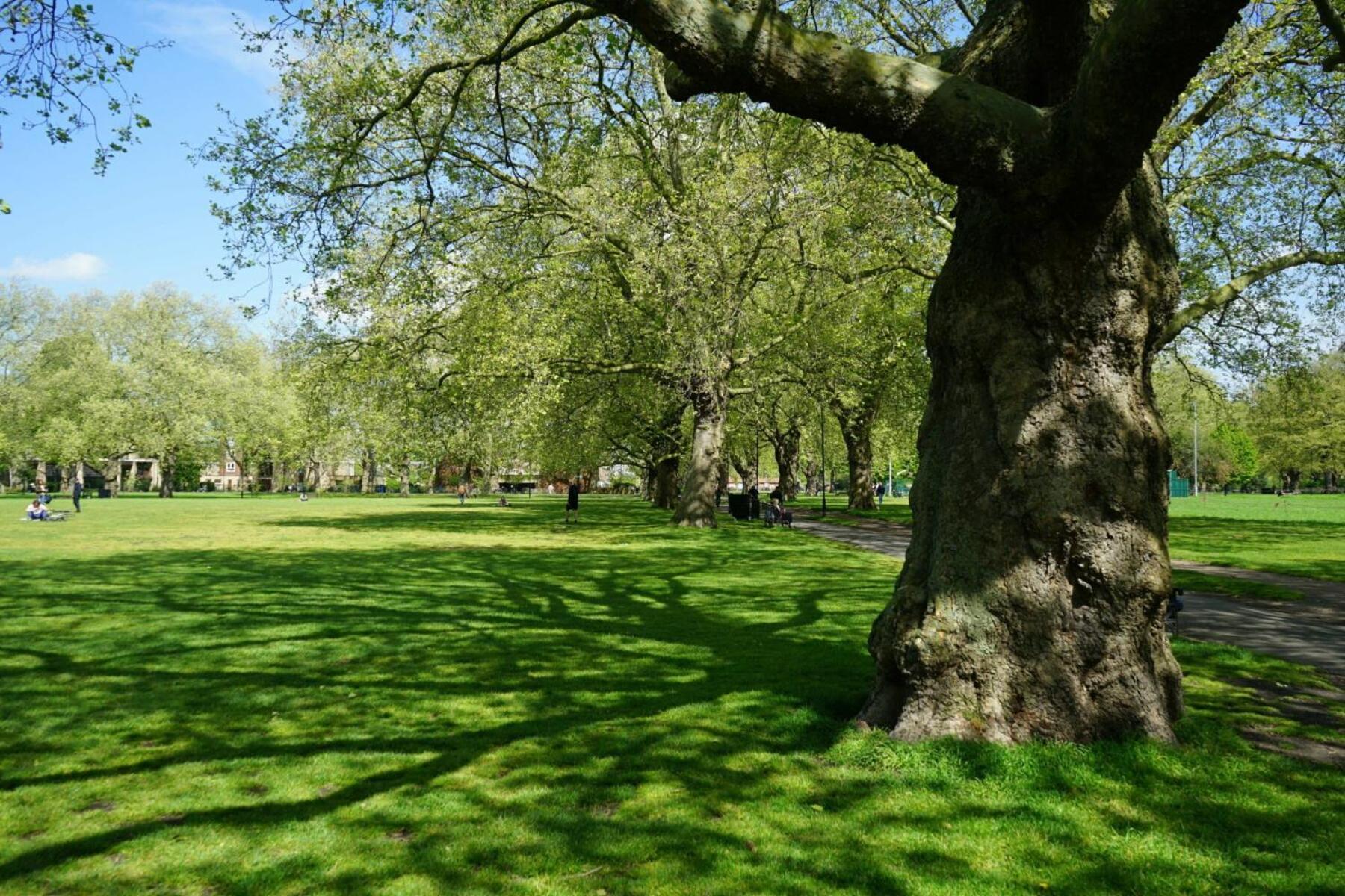 Fields - Escape London
