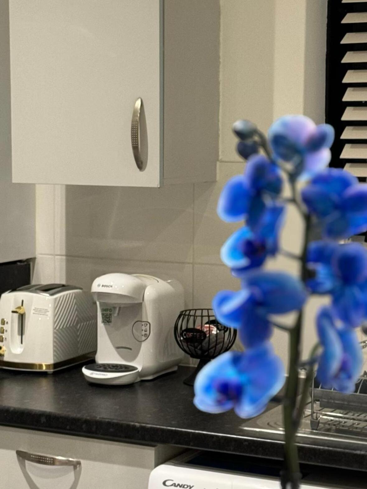 Cosy 2br Flat Excellent Location London