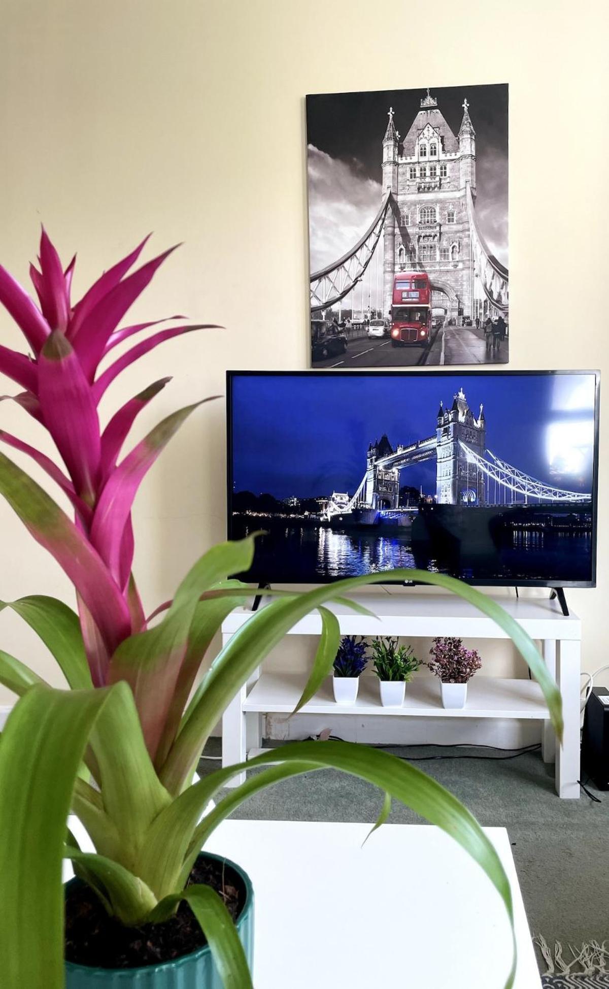 Apartment Charming Flat In