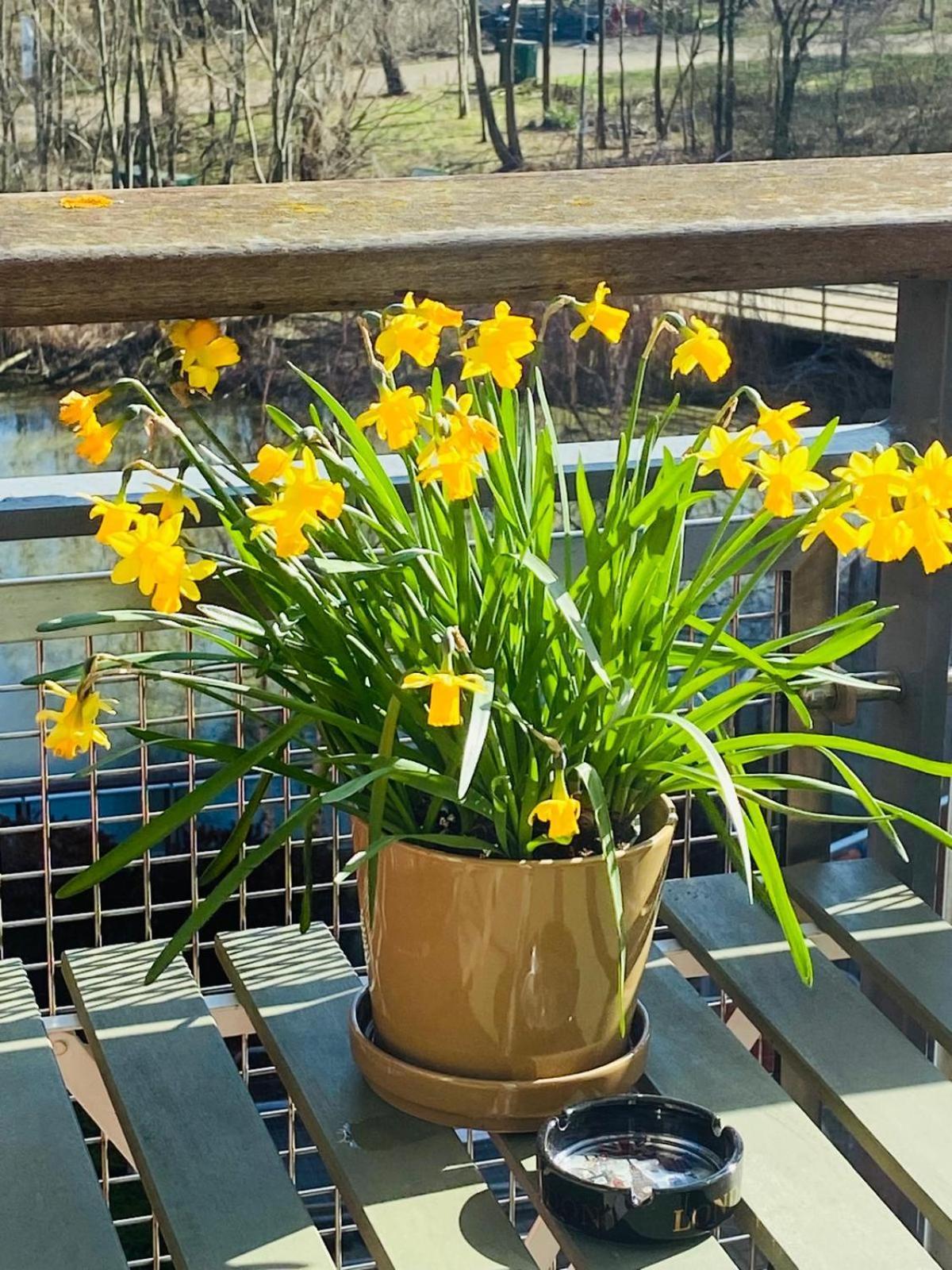Homestay North Greenwhich London