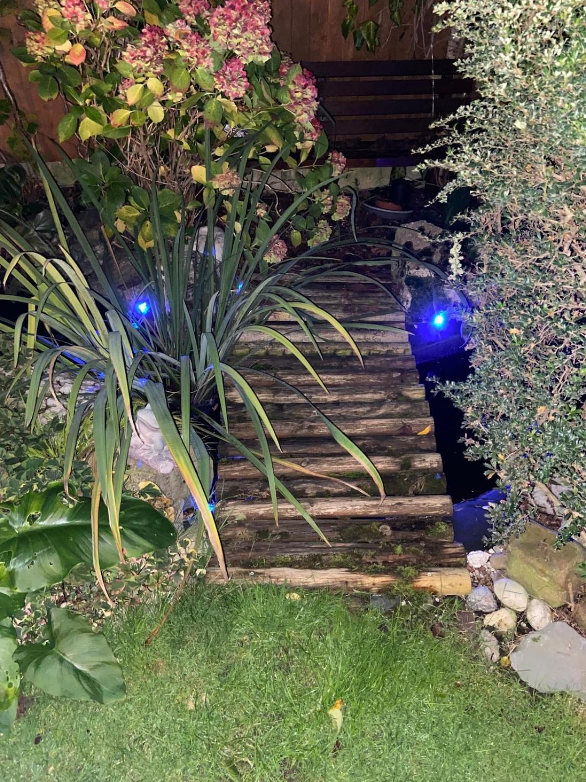 House For 7, Garden With Pond, 20min From Heathrow Holiday home London