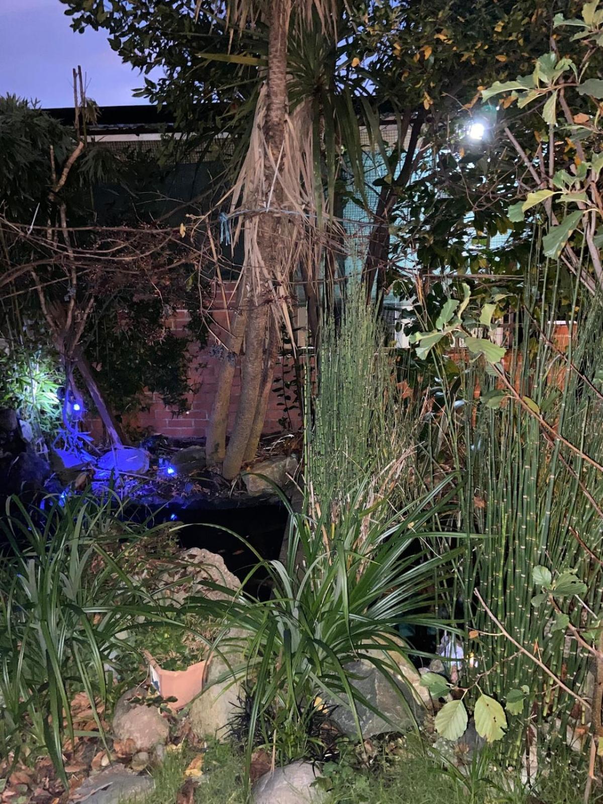 House For 7, Garden With Pond, 20min From Heathrow *