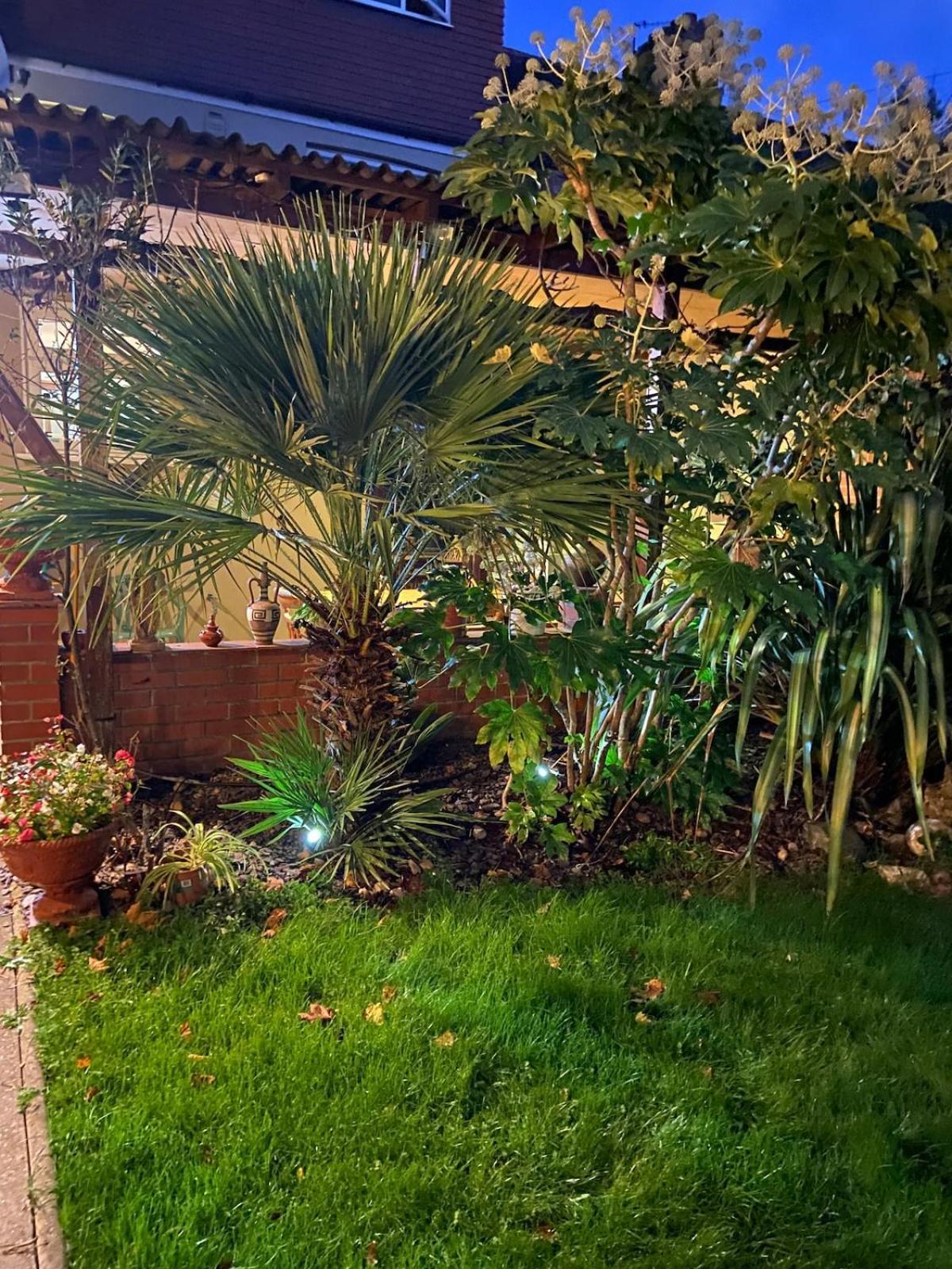 Holiday home House For 7, Garden With Pond, 20min From Heathrow London