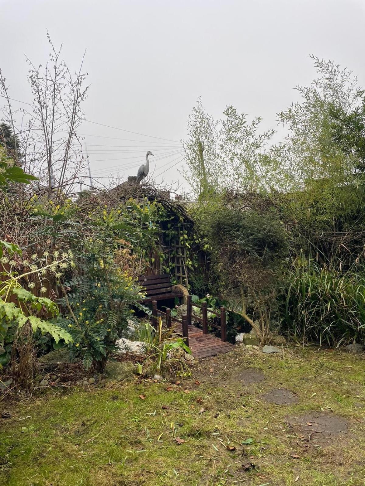 House For 7, Garden With Pond, 20min From Heathrow * London