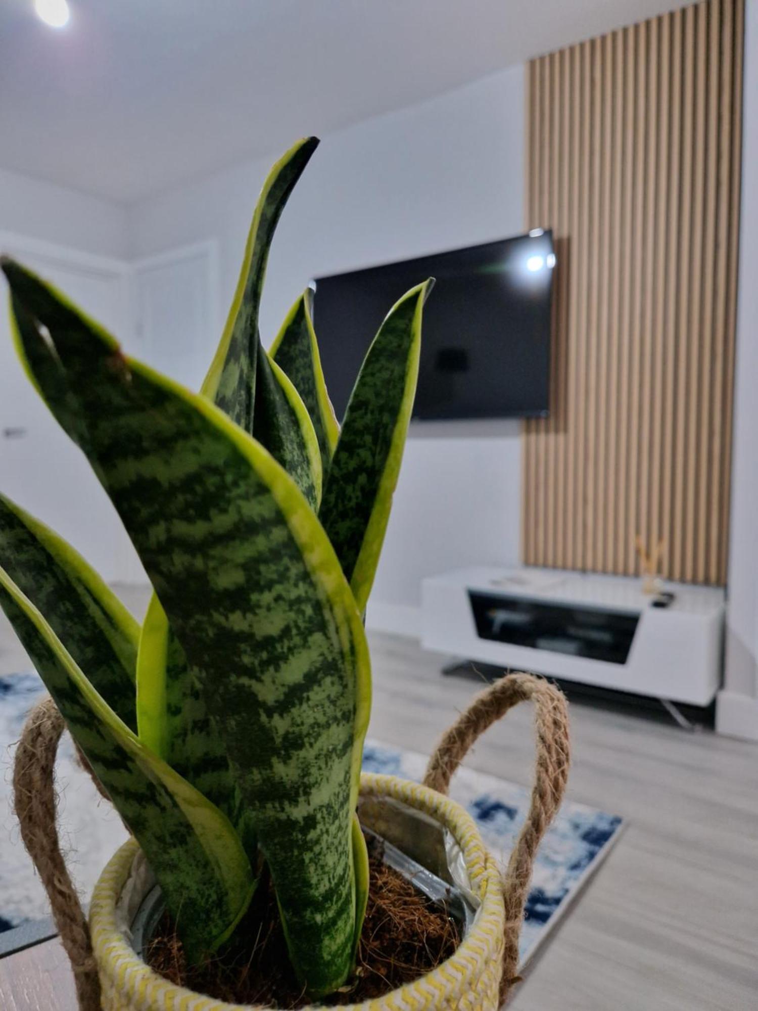 Stylish 2 Bed Home- Short Walk To Tottenham Stadium/stations Holiday home