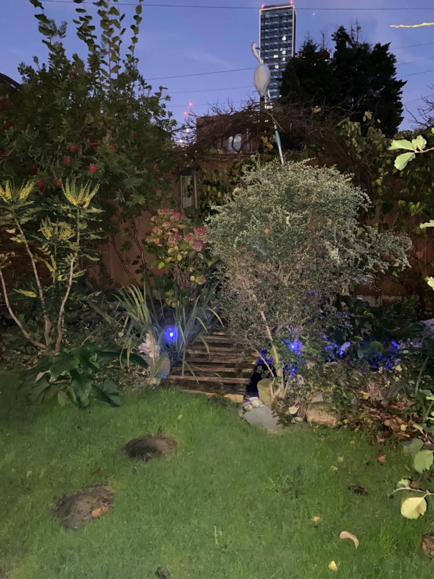 House For 7, Garden With Pond, 20min From Heathrow Holiday home *