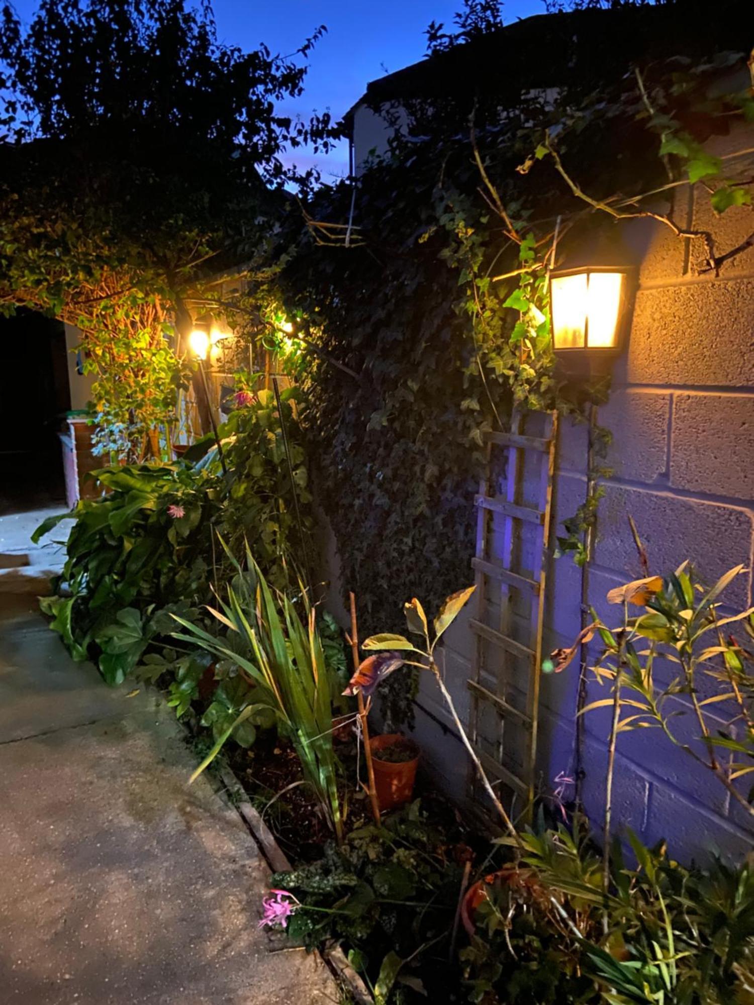 House For 7, Garden With Pond, 20min From Heathrow London