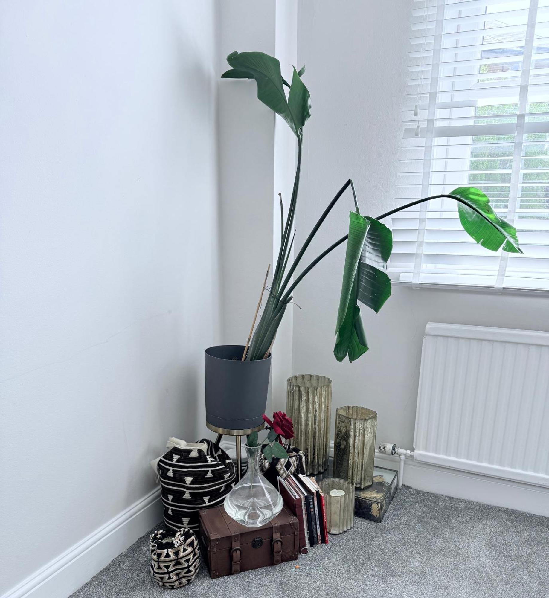 Bright And Modern Flat Near Portobello Road And The Canal Apartamento