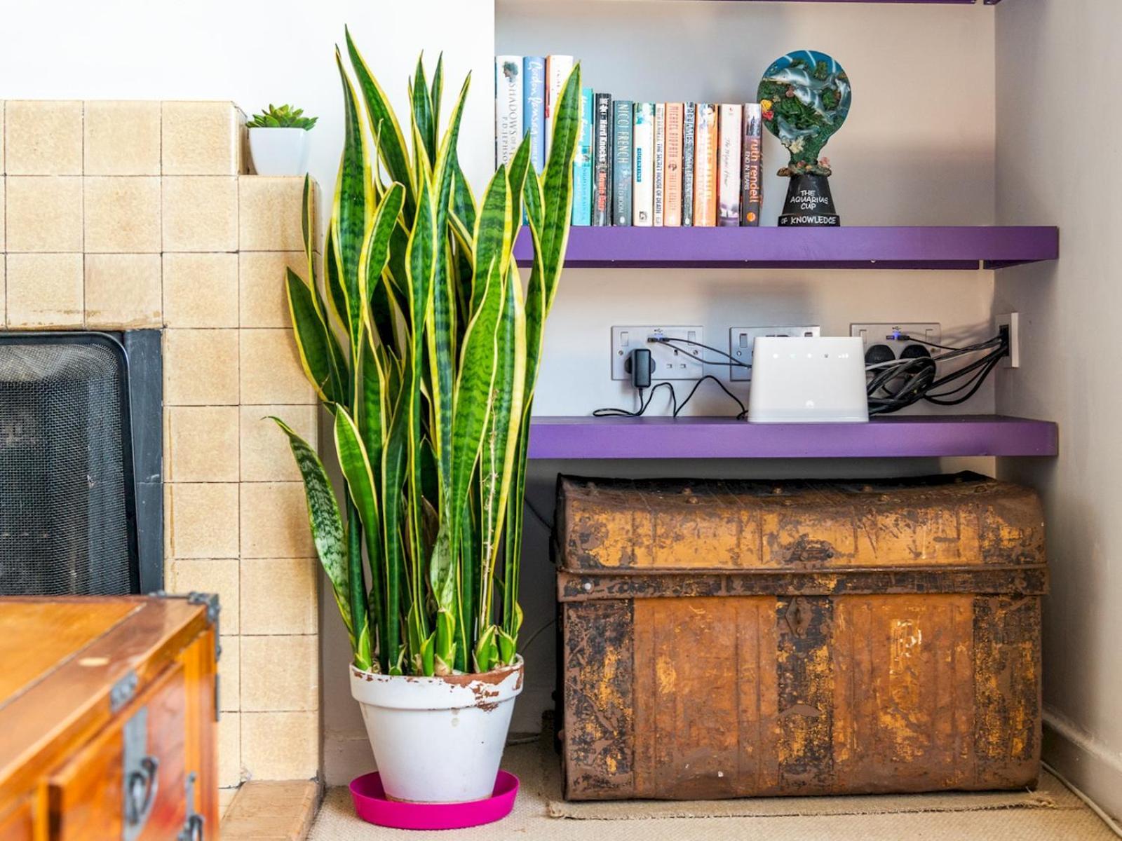 Pass The Keys Cozy 4-bed With Garden In Trendy Stoke Newington London