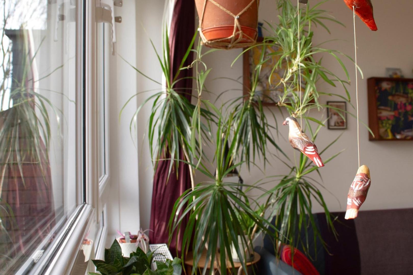 Cosy 2bd Flat, Easy Access To & Nature Holiday home