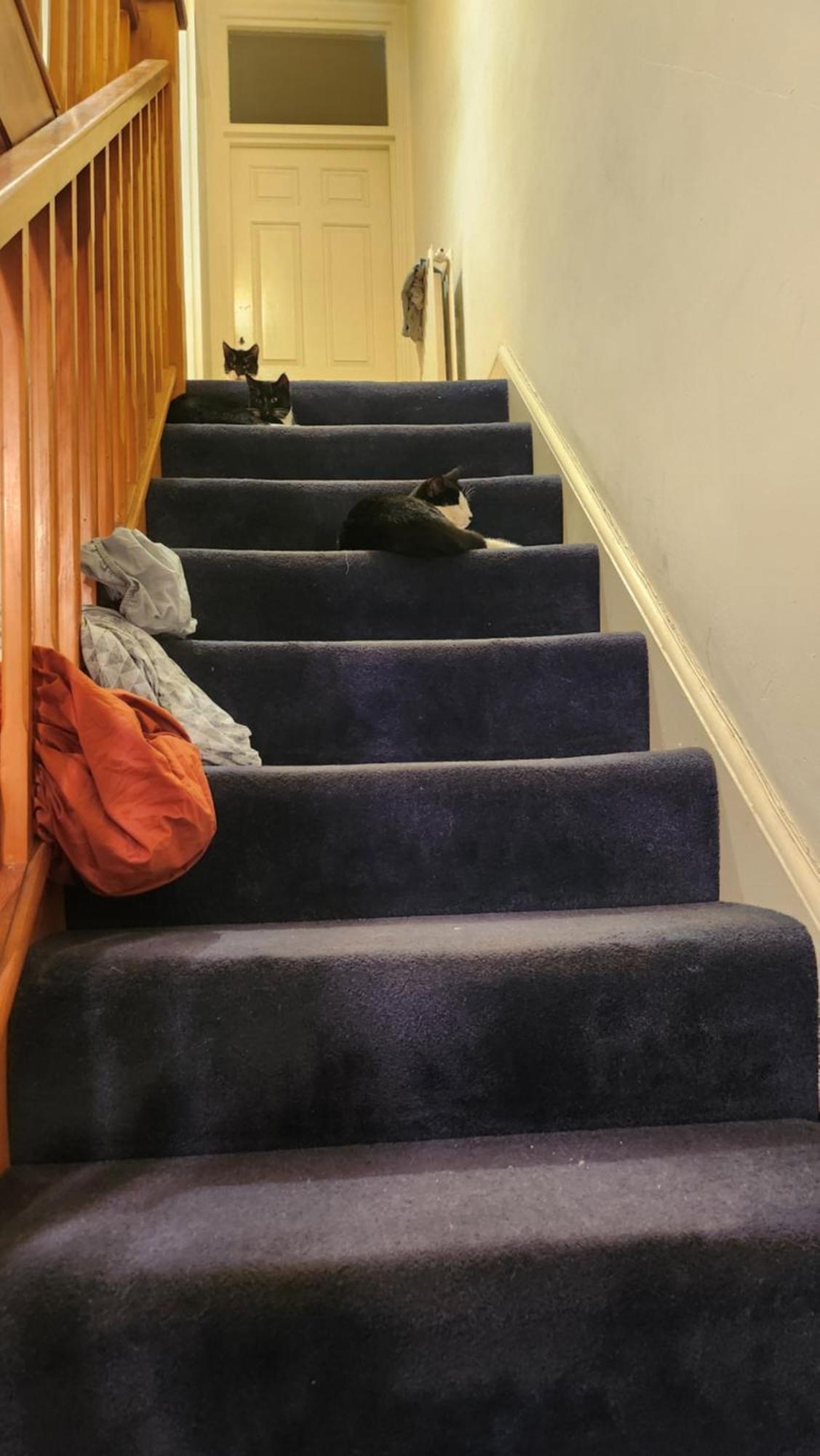 Unknownrooms
