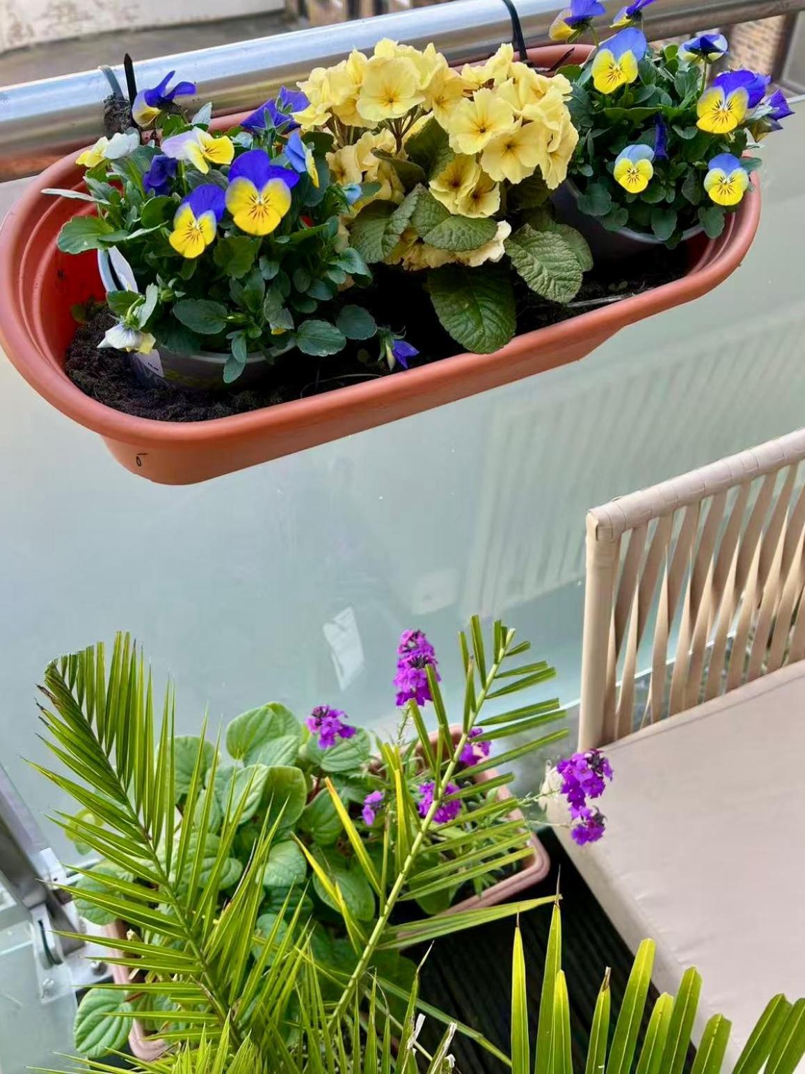 Apartment Spacious Duplex Flat West For Families & Groups
