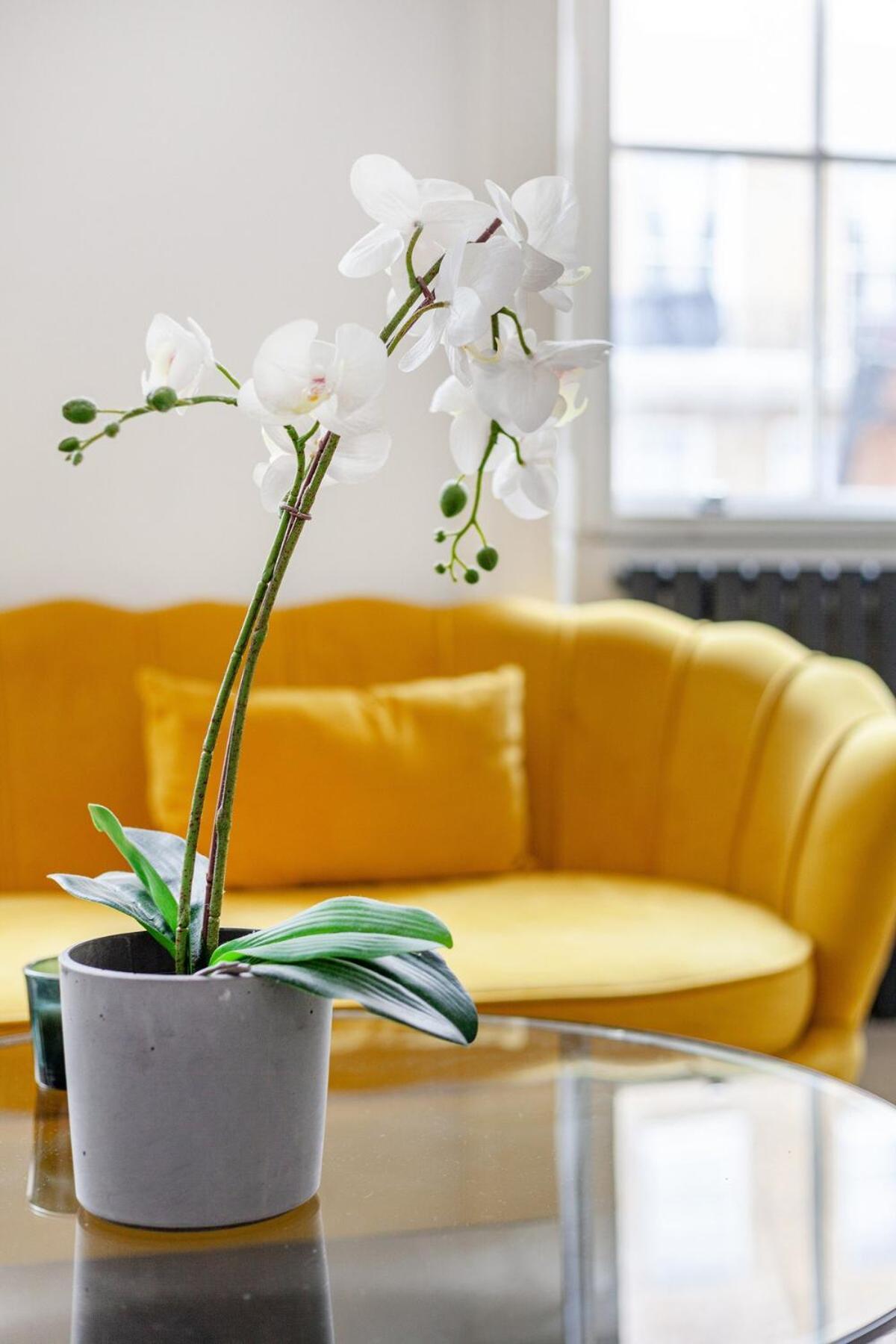 Marylebone - 5 * London