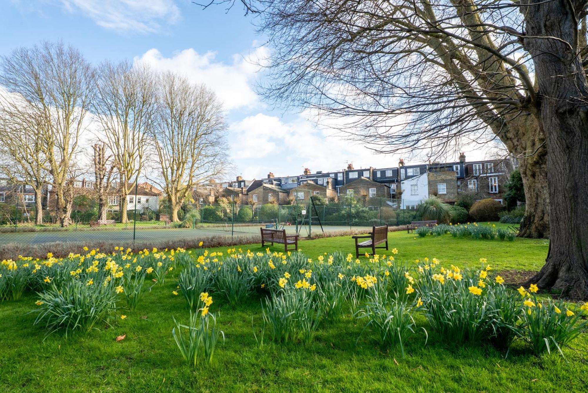 The Plush Putney Retreat