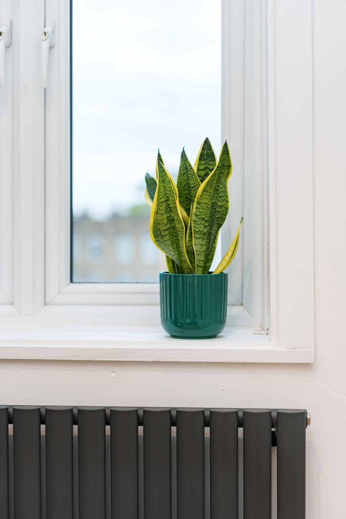 Apartment Stylish And Spacious Peckham Flat *
