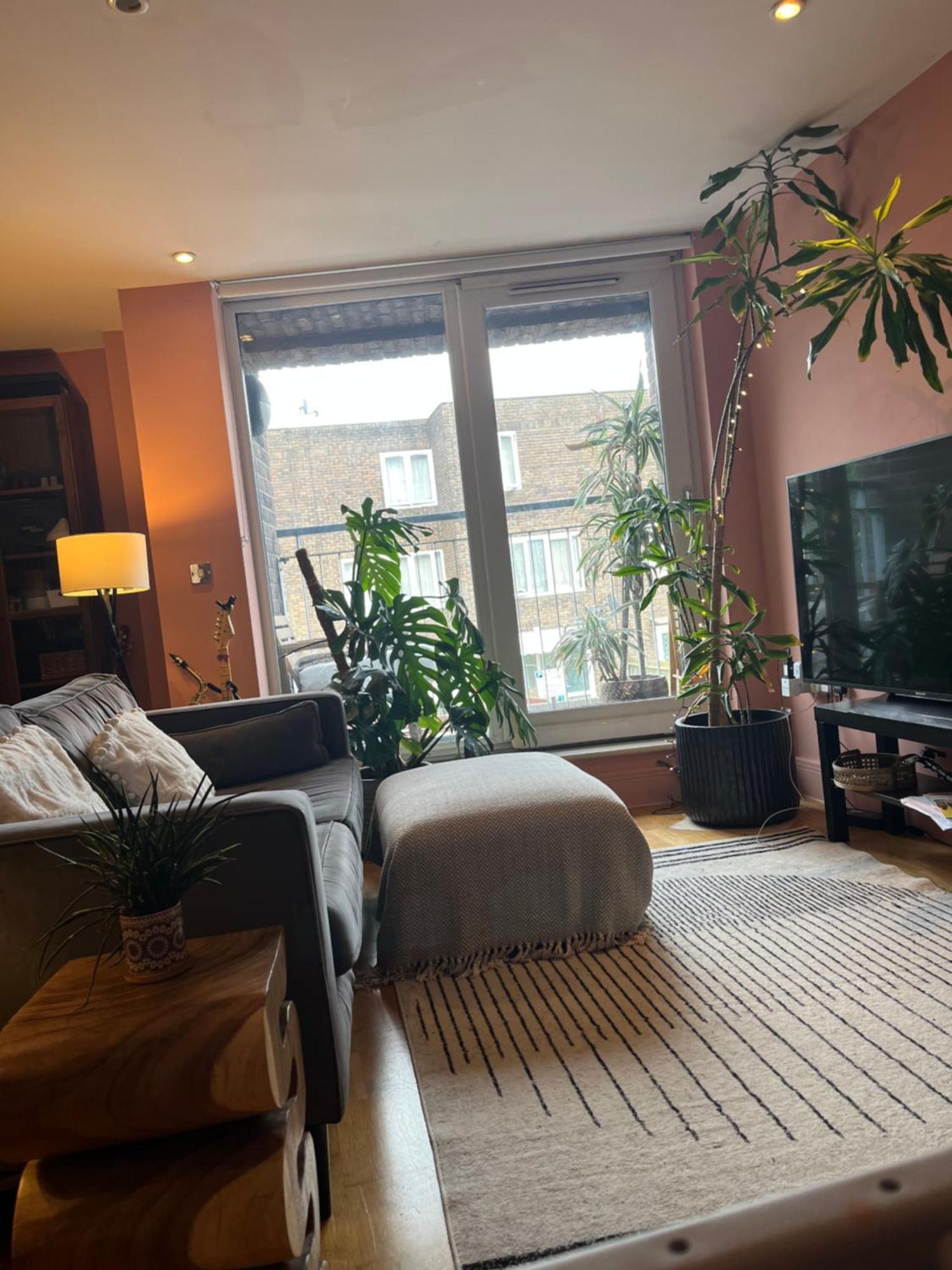 Apartment 2 Bed, 2 Bath Flat In Central London London
